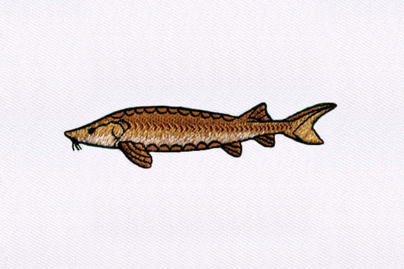 Brown Fish Design